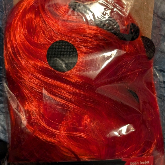 Ladies ladybug 🐞 Wig - Picture 3 of 3
